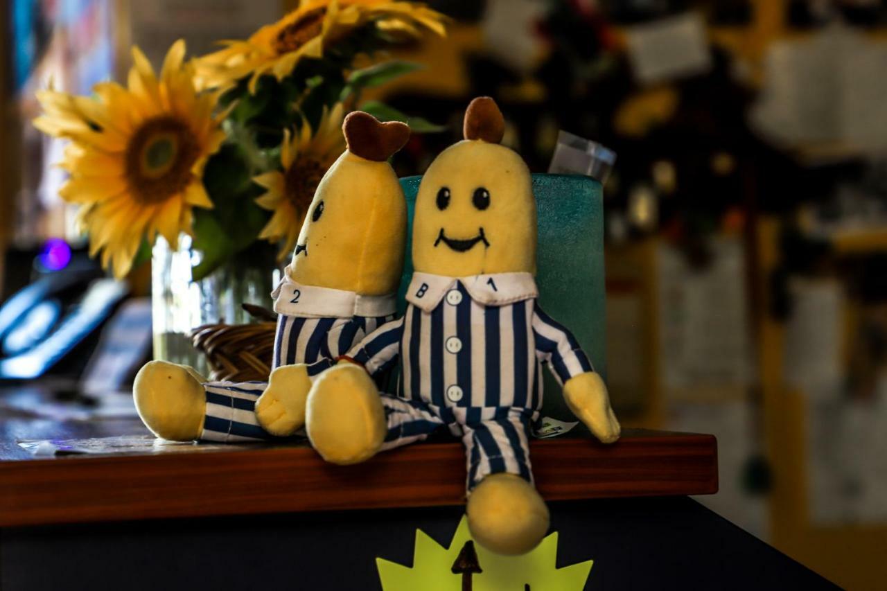 Cool Bananas Backpackers Vandrerhjem Agnes Water Eksteriør bilde