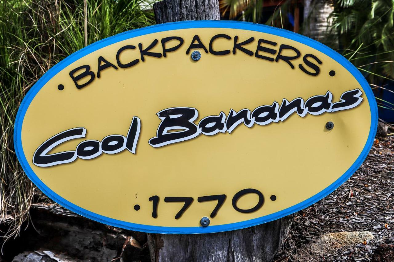 Cool Bananas Backpackers Vandrerhjem Agnes Water Eksteriør bilde