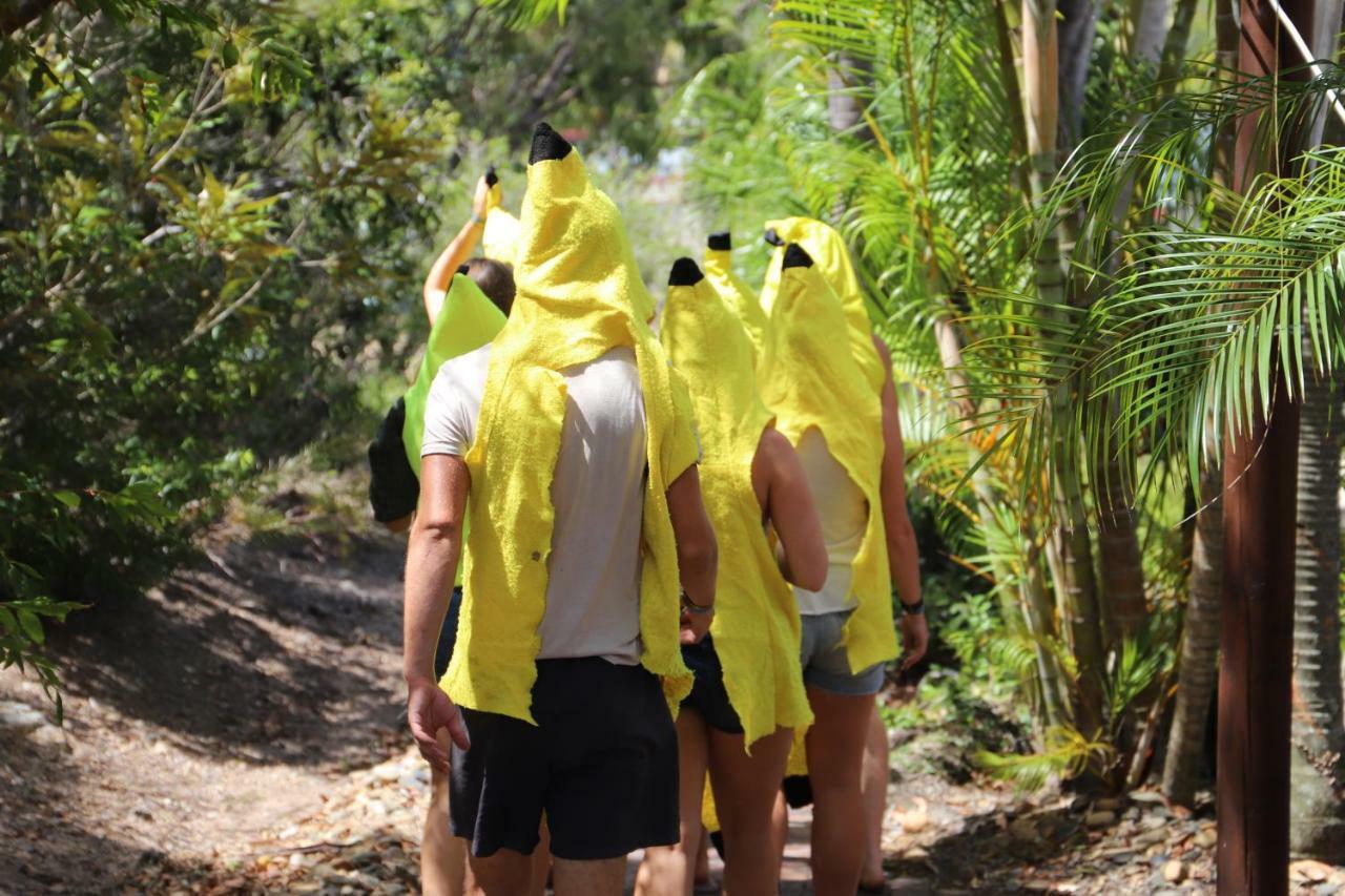 Cool Bananas Backpackers Vandrerhjem Agnes Water Eksteriør bilde