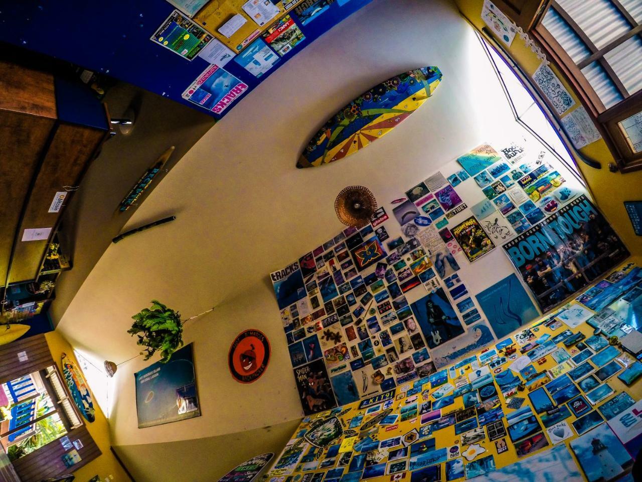 Cool Bananas Backpackers Vandrerhjem Agnes Water Eksteriør bilde